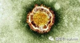 美国之音特别英语世卫组织关注中国武汉新冠状病毒爆发