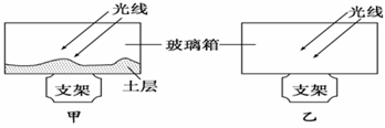 高考一天一个问题倒计时141天