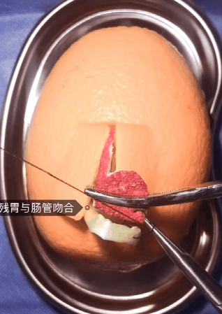 1c12bf4e021b48e19573f3871cb6e44f.gif