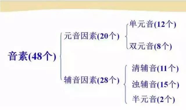 48个音标的英语发音(有详细的插图和视频)是珍贵的必须珍惜